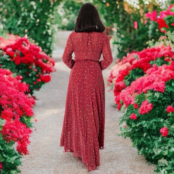 Unique Vintage Red & Silver Stars Farrah Maxi Dress V-Neck Sheer Holiday Gown - Picture 3 of 10